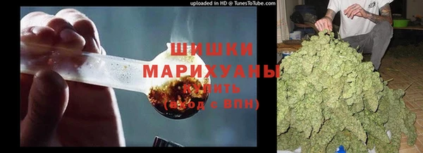 ГАЛЛЮЦИНОГЕННЫЕ ГРИБЫ Арсеньев